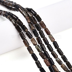 Natural Biotite Beads Strands, Barrel, 7.5~8x4~5mm, Hole: 0.6mm, about 48pcs/strand, 15.16~15.35 inch(38.5~39cm)(G-N346-01A-02)