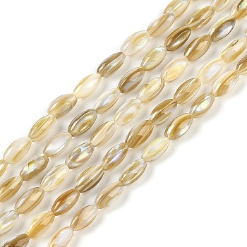 Natural Freshwater Shell Beads Strands, Rice, Goldenrod, 7.5~8x4mm, Hole: 0.5mm, about 51pcs/strand, 15.55 inch(39.5cm)