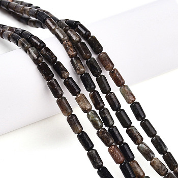 Natural Biotite Beads Strands, Barrel, 7.5~8x4~5mm, Hole: 0.6mm, about 48pcs/strand, 15.16~15.35 inch(38.5~39cm)