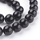 Natural Obsidian Beads Strands(G-G099-12mm-24)-3