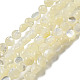 Natural White Shelll Beads Strands(SSHEL-H072-03)-1