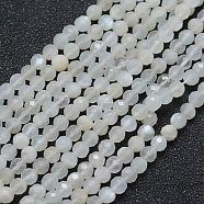 Natural White Moonstone Beads Strands, Faceted, Round, White, 2mm, Hole: 0.5mm, about 150pcs/strand, 15.35 inch(39cm)(G-E411-07-2mm)