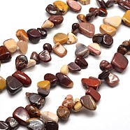 Natural Mookaite Chip Bead Strands, 8~22x7~16x4~8mm, Hole: 1mm, about 16 inch(G-M204-50)