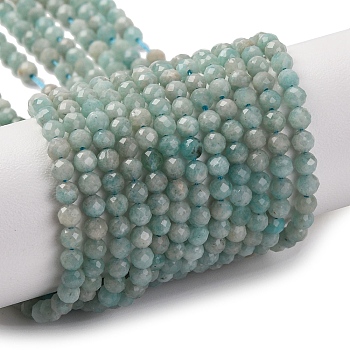 Natural Amazonite Beads Strands, Faceted, Round, 3mm, Hole: 0.6mm, about 119pcs/strand, 15''(38cm)