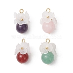 4Pcs 4 Styles Natural Green Aventurine & Rose Quartz & Carnelian & Amethyst Round Pendants, Flower Charms with Acrylic Findings, Golden, Mixed Dyed and Undyed, Mixed Color, 20x10x10.5mm, Hole: 1.8mm, 1pc/style(PALLOY-TA00406)