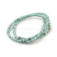 Natural Magnesite Beads Strands, Dyed, Heishi Beads, Flat Round/Disc, Sky Blue, 3x2mm, Hole: 0.8mm, about 208pcs/strand, 16 inch(40.64cm)(G-P398-B01)
