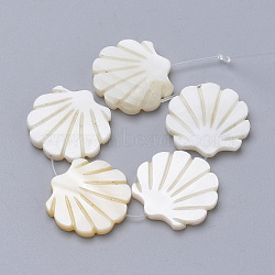 Natural Freshwater Shell Beads, for DIY Craft Jewelry Making, Scallop Shape, Creamy White, 17~19x18~20x3mm, Hole: 1mm(X-SHEL-T007-03)