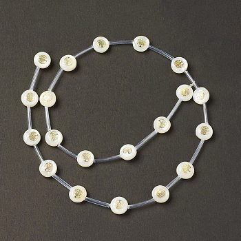 Natural Freshwater Shell Beads Strands, with Brass Slices and Enamel, Seashell Color, Flat Round, Tree of Life Pattern, 8.5x3.2mm, Hole: 0.7mm, about 20pcs/strand, 15.55''(39.5cm)