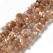 Natural Sunstone Chip Beads Strands, 7~12x5.5~7mm, Hole: 0.7mm, 31.10 inch(79cm)(X-G-M205-15A)