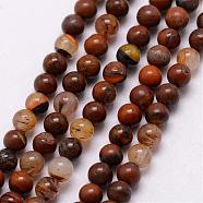 Natural Tiger Iron Bead Strands, Round, 3~3.5mm, Hole: 0.7mm, about 115~125pcs/strand, 16 inch(G-K146-61-3mm)