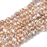 Natural Cultured Freshwater Pearl Beads Strands, Two Sides Polished, Grade 3A, PapayaWhip, 3.5~4x3~4x3~4mm, Hole: 0.6mm, about 96pcs/strand, 13.39~13.78 inch(34~35cm)(PEAR-E017-43)