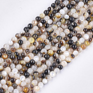 Black Lip Shell Beads Strands, Round, Black, 3.5~4mm, Hole: 0.7mm, about 96pcs/strand, 15.3 inch(SHEL-S274-92B)