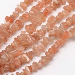 Chips Natural Sunstone Beads Strands, 3~8x3~12x3~5mm, Hole: 1mm, about 32 inch(X-G-N0164-54)