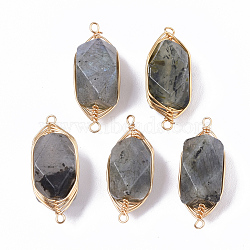 Natural Labradorite Links connectors, Brass Wire Wrapped Links, Faceted, Column, Golden, 22.5~32x9~12x8~9mm, Hole: 1.2mm(X-G-T131-04A)