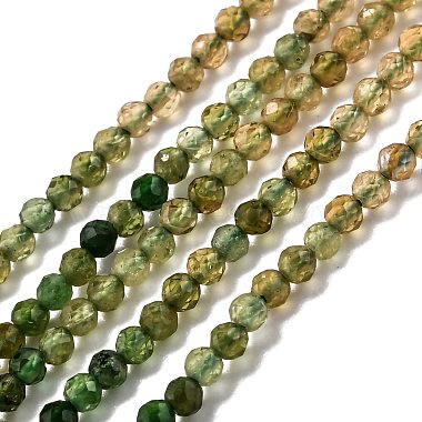 Natural Green Tourmaline Beads Strands(G-H266-08B)-1