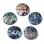 Natural Abalone Shell/Paua Shell Pendants, with Freshwater Shell, Flat Round, 40x6~8mm(SSHEL-N034-86)