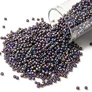 TOHO Round Seed Beads, Japanese Seed Beads, (166CF) Transparent AB Frost Amethyst, 11/0, 2.2mm, Hole: 0.8mm, about 1110pcs/10g(X-SEED-TR11-0166CF)