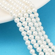 Round Shell Pearl Beads Strands, Matte Surface, Polished, Seashell Color, 4.5mm, Hole: 0.8mm, about 104pcs/strand, 16.18''(41.1cm)(BSHE-XCP0001-40A)