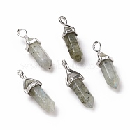 Natural Labradorite Pendants, Faceted, with Platinum Tone Brass Findings, Lead free & Cadmium Free, Bullet, 27~30x9~10x7~8mm, Hole: 4x3mm(G-K329-61P)
