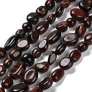 Natural Red Tiger Eye Beads Strands, Dyed & Heated, Nuggets, Tumbled Stone, 7~13x4.5~10x4.5~10mm, Hole: 1.2mm, about 44~46pcs/strand, 15.08~16.14 inch(38.3~41cm)(G-P497-01E-24)