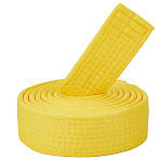 Taekwondo Belt, Martial Arts Perfomance Accessories, Yellow, 2200x39x5mm(AJEW-WH20022-73B-03)