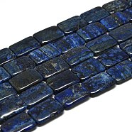 Natural Lapis Lazuli Beads Strands, Rounded Rectangle, 25~25.5x18x5mm, Hole: 1mm, about 16pcs/strand, 15.75''(40cm)(G-K311-05C)
