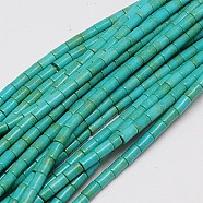 Synthetic Turquoise Beads Strands, Dyed, Column, Light Sea Green, 6x4mm, Hole: 1mm, about 64pcs/strand, 15.5 inch(TURQ-G120-4x6mm-13)