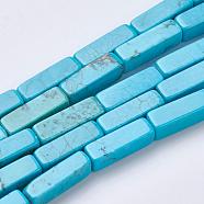 Natural Magnesite Beads Strands, Dyed, Cuboid, Sky Blue, 13~13.5x4x4mm, Hole: 1mm, about 29pcs/strands, 15.35 inch(39cm)(TURQ-K003-13)