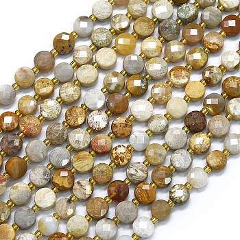 Natural Fossil Coral Beads Strands, with Seed Beads, Faceted, Flat Round, 6~6.5x4mm, Hole: 1mm, about 50pcs/strand, 15.35''(39cm)