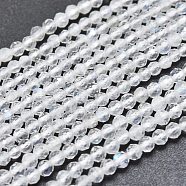 Natural Rainbow Moonstone Beads Strands, Faceted, Round, 2mm, Hole: 0.5mm, about 158pcs/Strand, 15.55 inch(39.5cm)(G-M353-36A-2mm)