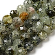 Natural Prehnite Beads Strands, Faceted, Round, Pale Green, 8mm, Hole: 1mm(G-G457-8mm-03F-01)