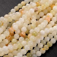 Natural Gemstone Beads Strands, Flower Jade, Round, about 8mm in diameter, hole: about 1mm, 15~16 inch(GSR008)