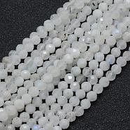 Natural Rainbow Moonstone Beads Strands, Round, Faceted, 4mm, Hole: 0.7mm, about 94pcs/strand, 15.35 inch(39cm)(G-E411-08-4mm)