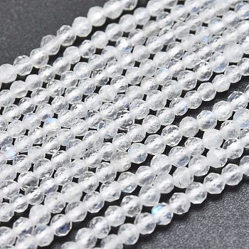 Natural Rainbow Moonstone Beads Strands, Faceted, Round, 2mm, Hole: 0.5mm, about 158pcs/Strand, 15.55 inch(39.5cm)