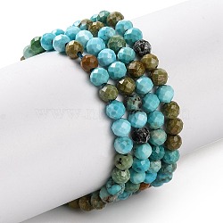 Natural Howlite Beads Strands, Dyed, Faceted, Round, Cyan, 3mm, Hole: 0.8mm, about 119~129pcs/strand, 15.35''(39cm)(G-C025-02B-06)