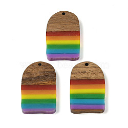 Pride Rainbow Theme Resin & Walnut Wood Pendants, Half Oval, Colorful, 38.5x22.5x3.5mm, Hole: 2mm(WOOD-K012-02)