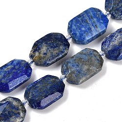 Natural Lapis Lazuli Beads Strands, Faceted, Rectangle, with Seed Beads, 21~22x15~17x7~8mm, Hole: 1mm, about 16~20pcs/strand, 15.35~15.75''(39~40cm)(G-B125-P11-01)