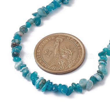 Natural Apatite Chip Beaded Necklace(NJEW-JN04615-15)-3