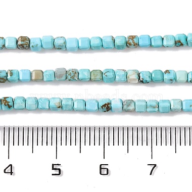 Natural Howlite Beads Strands(G-G001-A02-03)-5