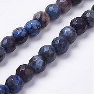 Natural Silver Leaf Jasper Beads Strands, Round, Faceted, Dyed, Royal Blue, 6mm, Hole: 1mm, about 35pcs/strand, 7.8 inch(20cm)(G-K181-6mm-O02)