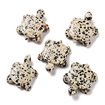 Natural Dalmatian Jasper Carved Beads, Turtle, 35~38x28~30x7.5~9mm, Hole: 3.4mm