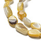 Natural Yellow Shell Beads Strands(SSHEL-H072-08)-3