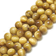 Natural Tiger Eye Beads Strands,  Round, Gold, 8~8.5mm, Hole: 1mm, about 47~48pcs/strand, 14.96~15.55 inch(38~39.5cm)(G-S300-8mm-107H)