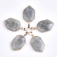 Natural Labradorite Pendants, with Brass Findings, Faceted, Shield, Golden, 36x22.5x6mm, Hole: 8x4.5mm(G-S344-12C)