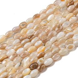 Natural Freshwater Shell Beads Strands, Oval, PeachPuff, 3x4~5mm, Hole: 0.5mm, about 75~78pcs/strand, 14.96~15.35''(38~39cm)(SHEL-H072-03)