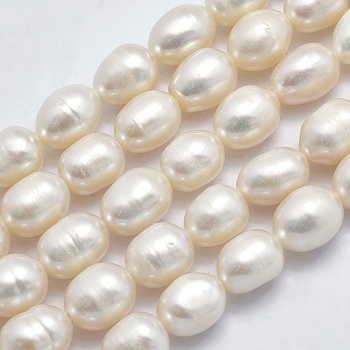 Natural Cultured Freshwater Pearl Beads Strands, Oval, Beige, 7~8x6~7mm, Hole: 0.8mm, about 46pcs/strand, 14 inch(35.5cm)