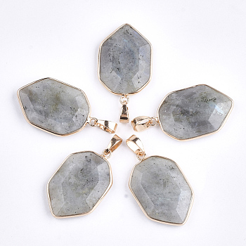 Natural Labradorite Pendants, with Brass Findings, Faceted, Shield, Golden, 36x22.5x6mm, Hole: 8x4.5mm