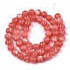 Natural White Shell Mother of Pearl Shell Beads Strands(SSHEL-T012-06)-2