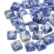 Natural Blue Spot Jasper Cabochons, Square, 10x10x5mm(G-T026-10x10-15)