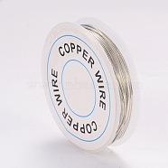 Craft Copper Wire, Silver, 20 Gauge, 0.8mm, about 9.84 Feet(3m)/roll(X-CWIR-CW0.8mm-06)